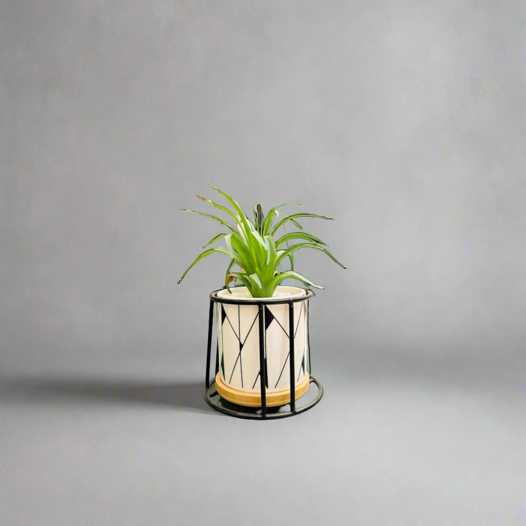 Planter With Stands