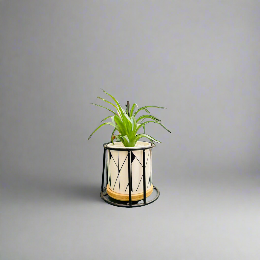 Planter With Stands