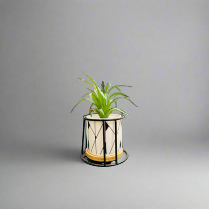 Planter With Stands