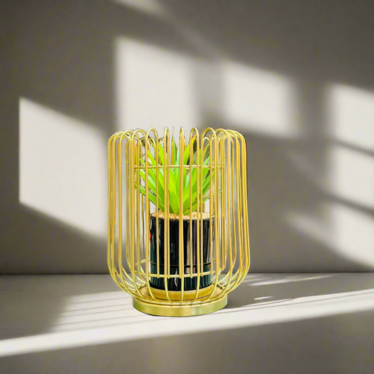 Planter With Cylindrical Metal Cage