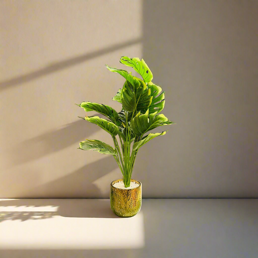 Artificial Calathea orbifolia Plant