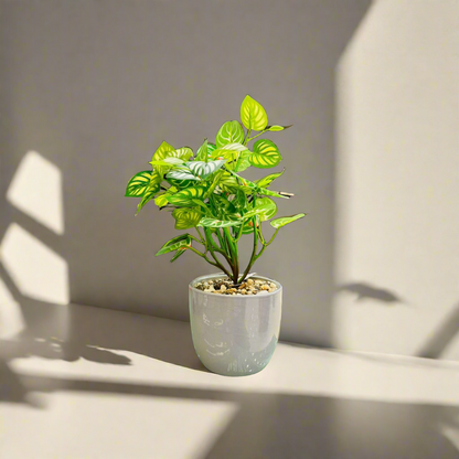 Artificial Epipremnum Aureum Planter