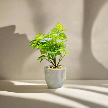 Artificial Epipremnum Aureum Planter