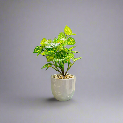 Artificial Epipremnum Aureum Planter