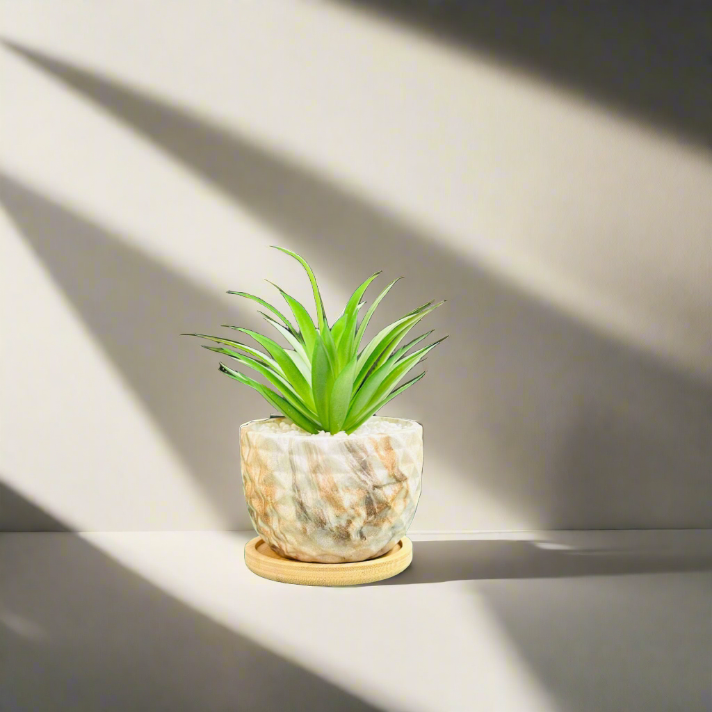 Mini Gradient Artificial Planter