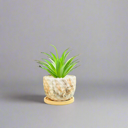 Mini Gradient Artificial Planter