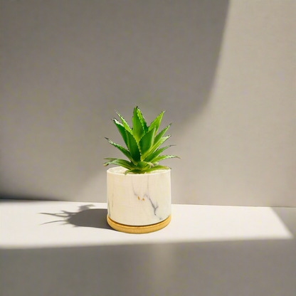 Artificial Marble Pot Planter