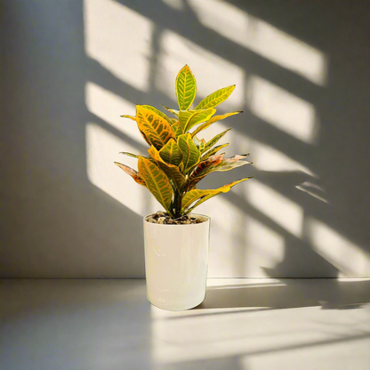 Artificial White Planter