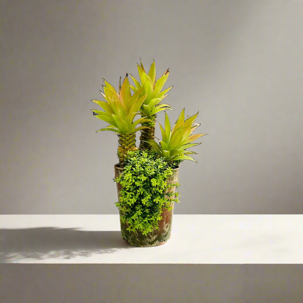 Artificial Aeonium Planter