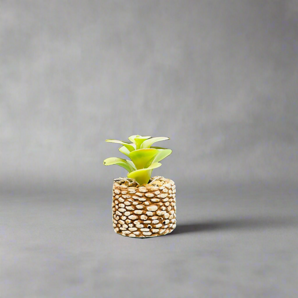 Mini Planters