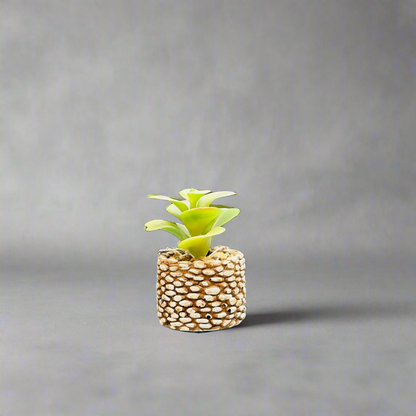 Mini Planters