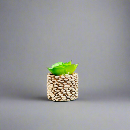 Mini Planters