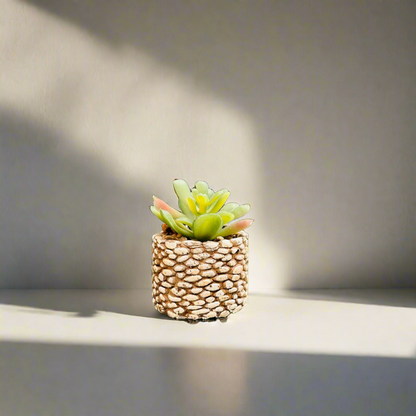 Mini Planters