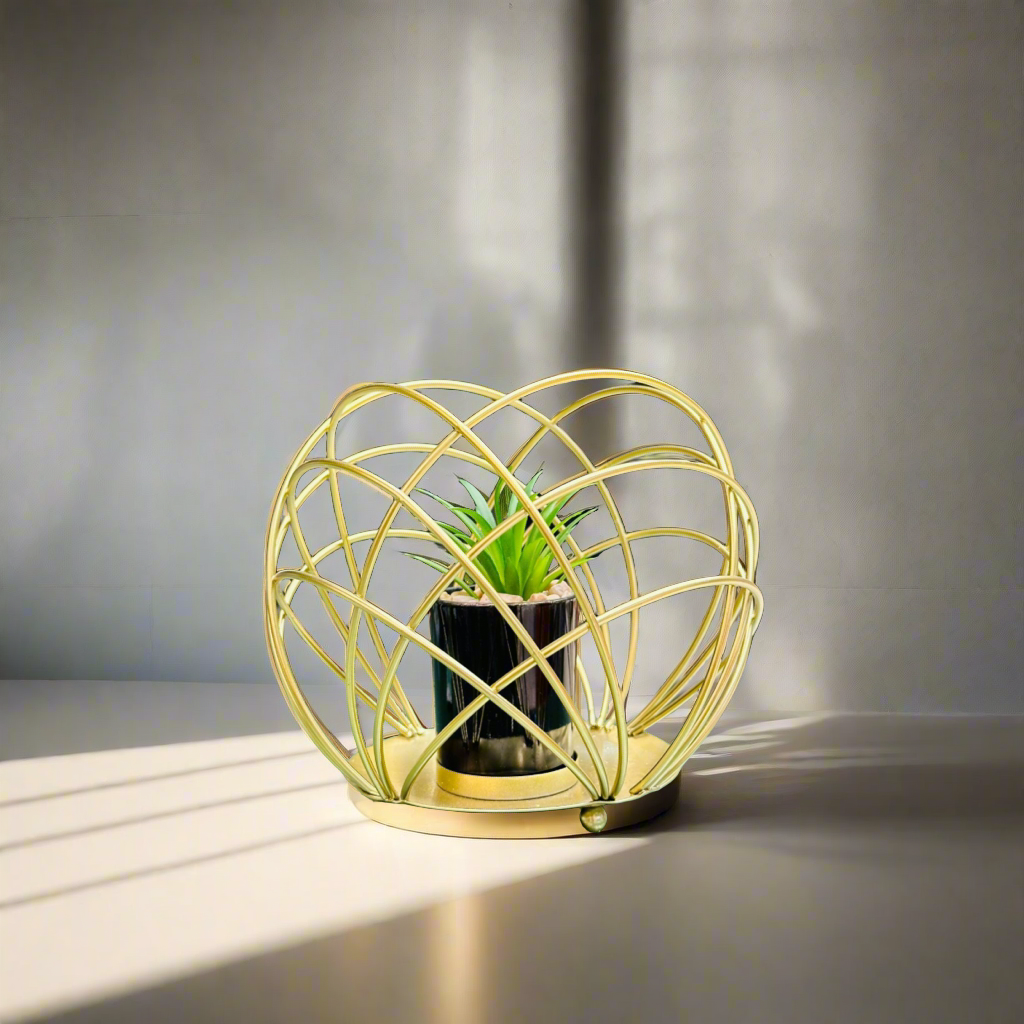 Planter With Golden Metal Cage