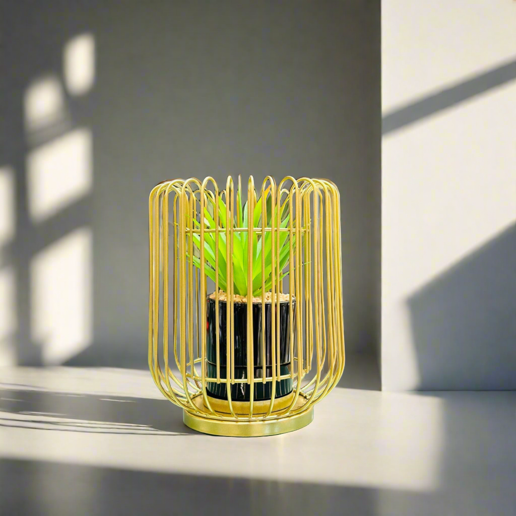 Planter With Cylindrical Metal Cage